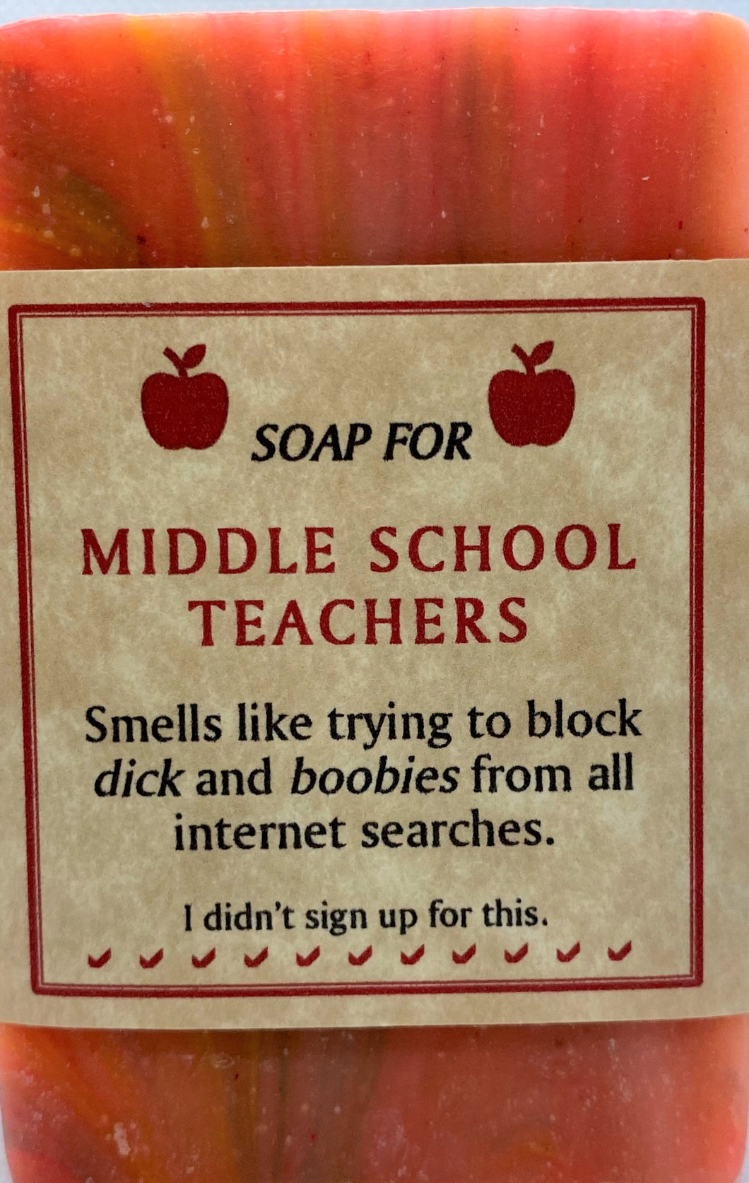 Middle School Teachers